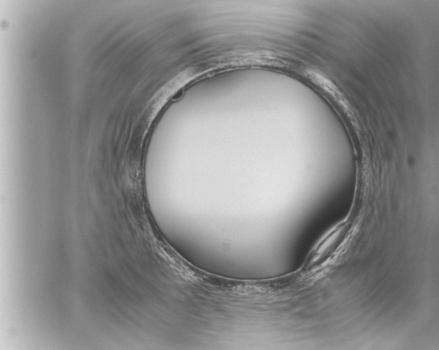 X0000059851089200511111805