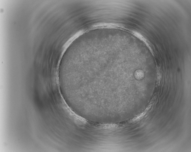 X0000059851090200511111805