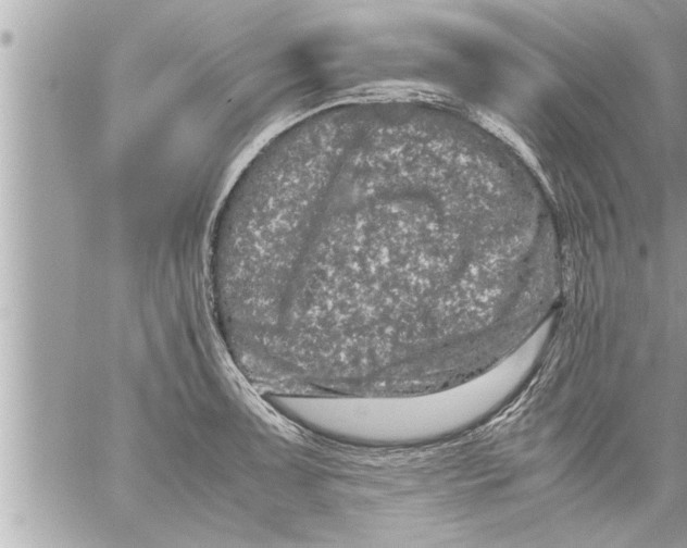 X0000059851091200511111804