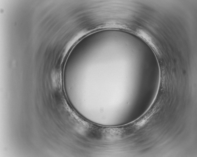 X0000059851092200511111804