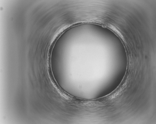 X0000059851093200511111804