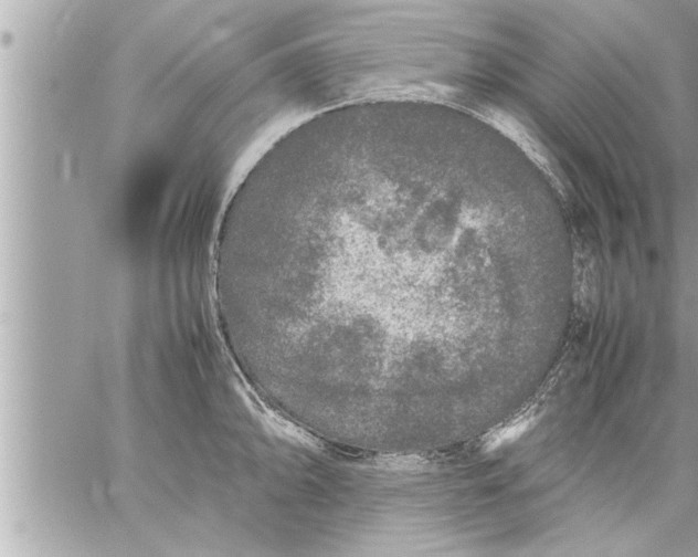 X0000059851094200511111804