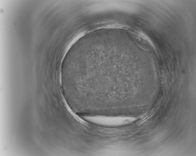 X0000059851095200511111804