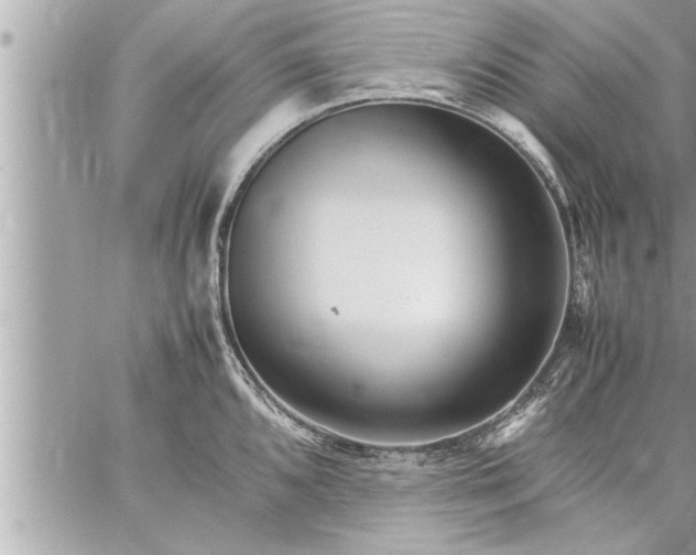 X0000059851096200511111804