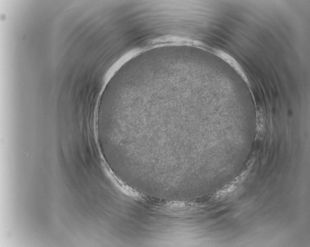 X0000059851098200511111804