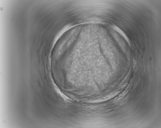 X0000059851099200511111804