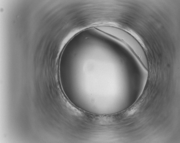 X0000059851102200511111804