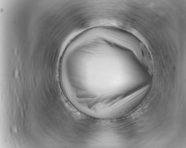 X0000059851104200511111804