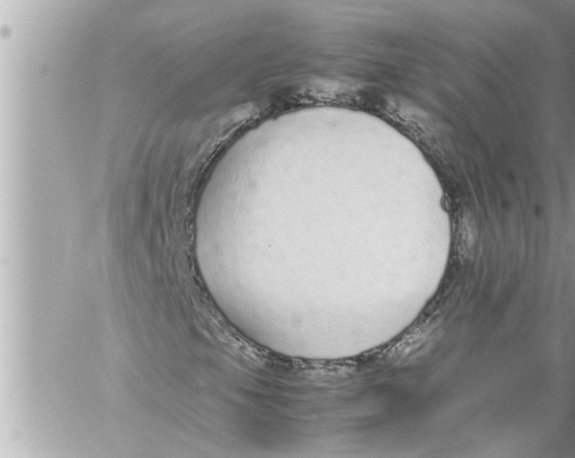 X0000059851105200511111803