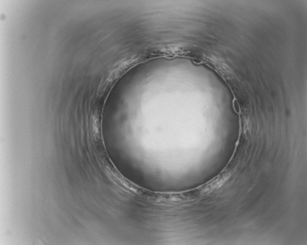 X0000059851106200511111803