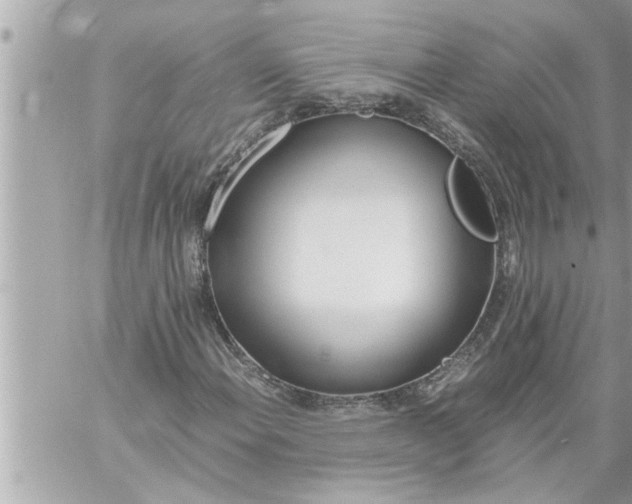 X0000059851108200511111804