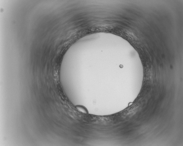 X0000059851109200511111804