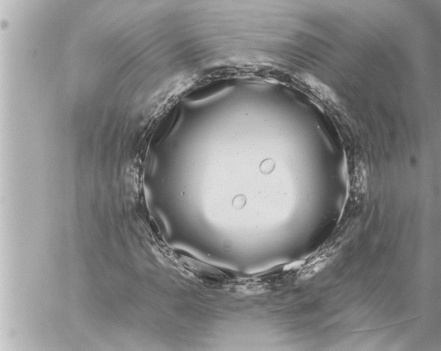 X0000059851110200511111804