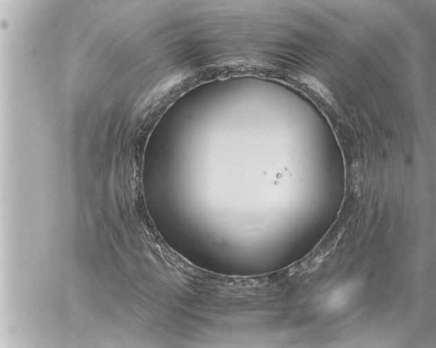 X0000059851111200511111804