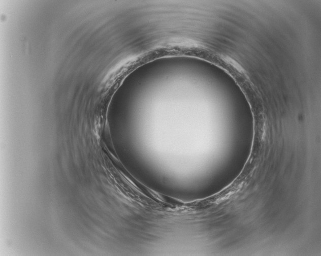 X0000059851112200511111804