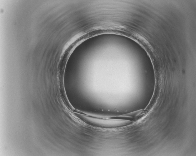 X0000059851114200511111804