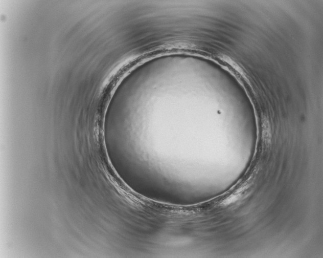 X0000059851115200511111804