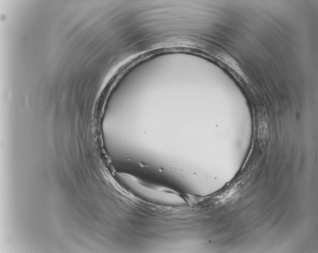 X0000059851116200511111804