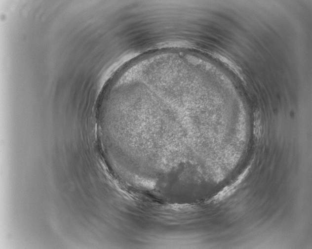 X0000059851117200511111804