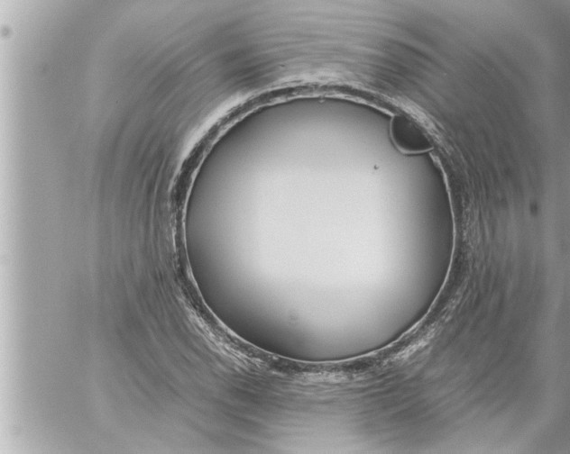 X0000059851118200511111804