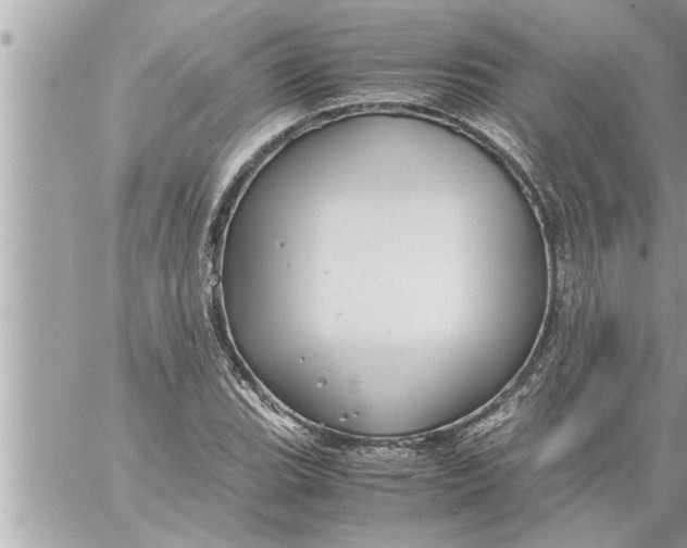 X0000059851119200511111804