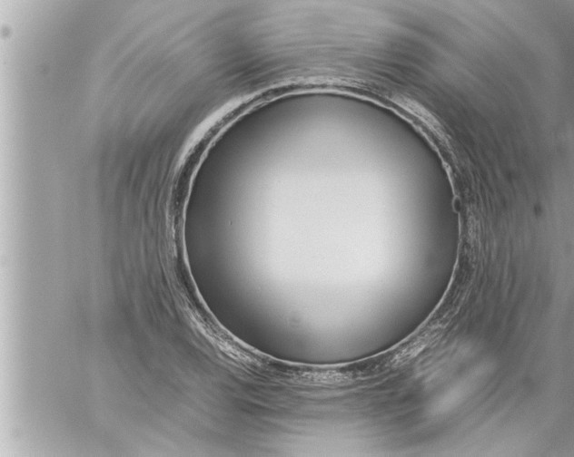 X0000059851120200511111804