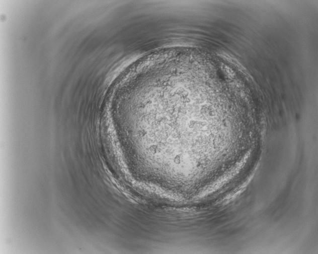 X0000059851121200511111804