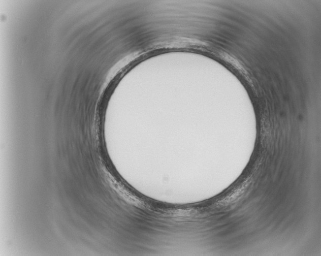 X0000059851122200511111804