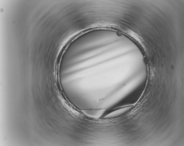 X0000059851124200511111804