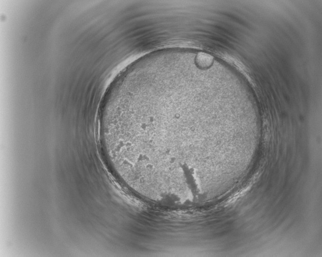 X0000059851125200511111804