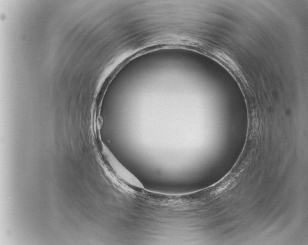 X0000059851128200511111804