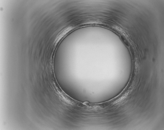 X0000059851129200511111804