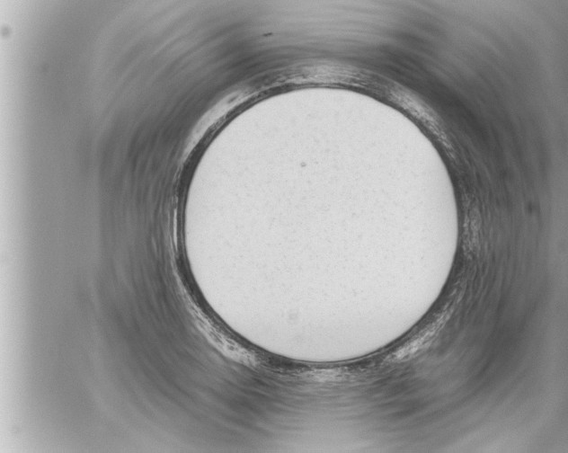 X0000059851130200511111804