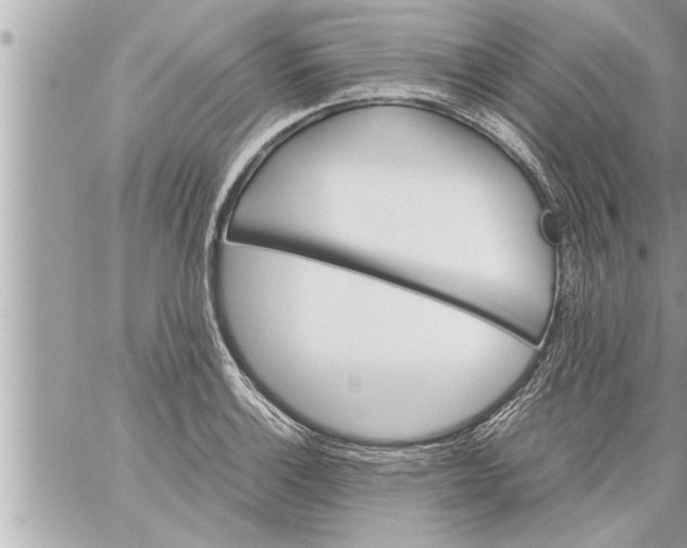 X0000059851132200511111804