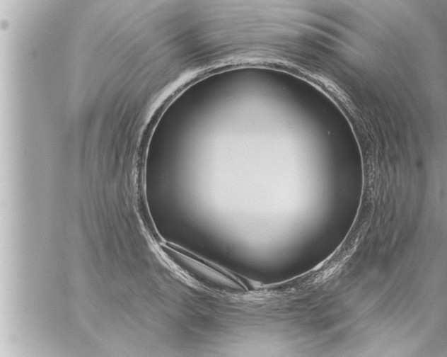 X0000059851134200511111804