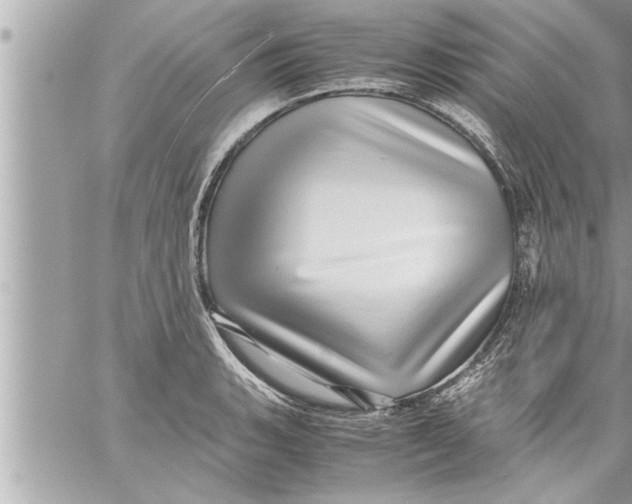 X0000059851135200511111804