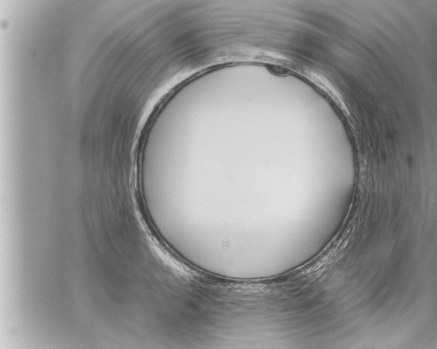 X0000059851136200511111804