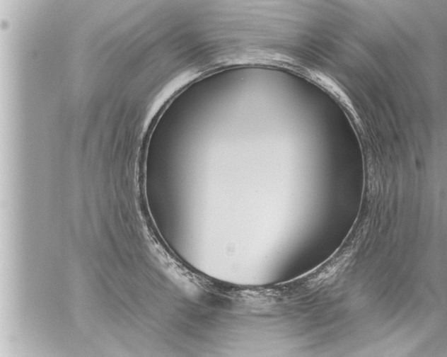 X0000059851138200511111804