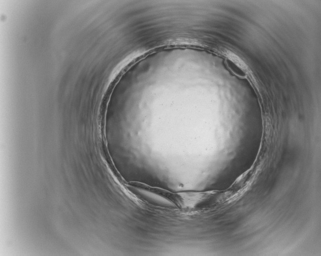 X0000059851141200511111804