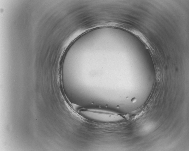 X0000059851143200511111804