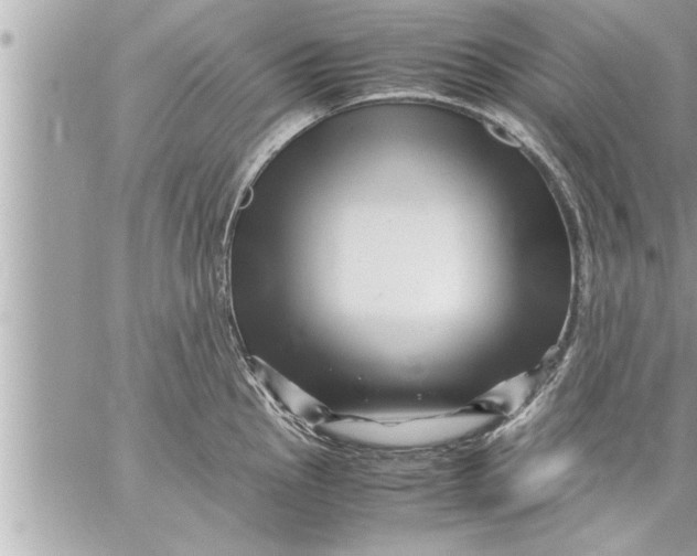 X0000059851145200511111804