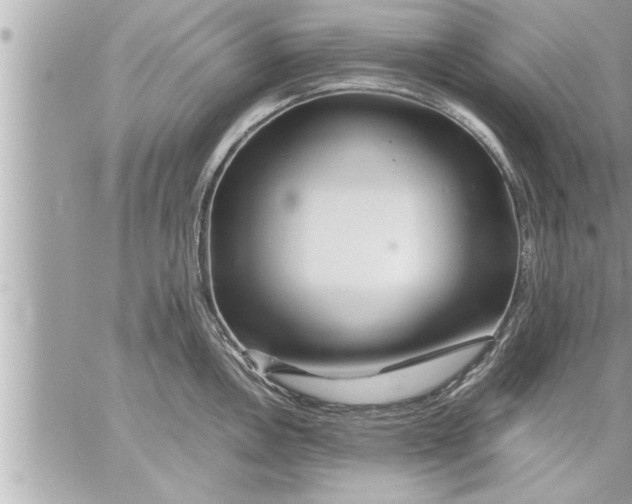 X0000059851146200511111804