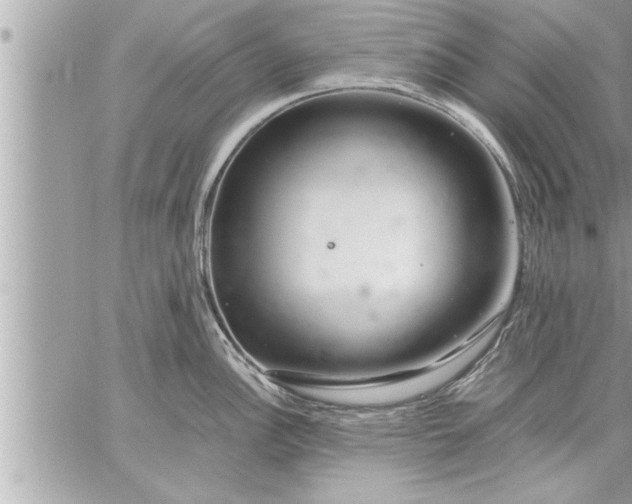 X0000059851148200511111804