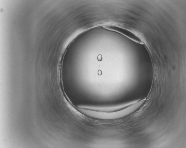 X0000059851151200511111804