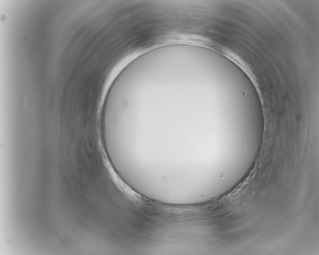 X0000059851152200511111804