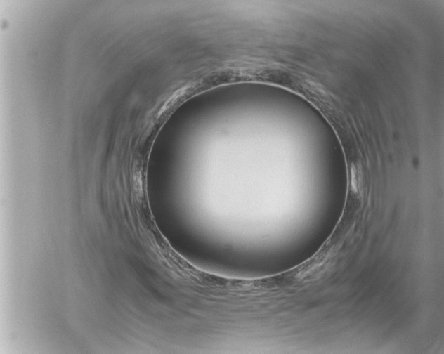 X0000059851155200511111803