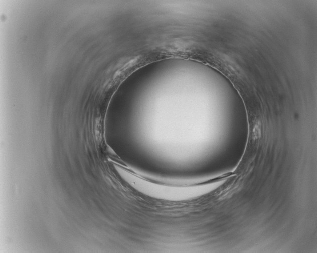 X0000059851156200511111803