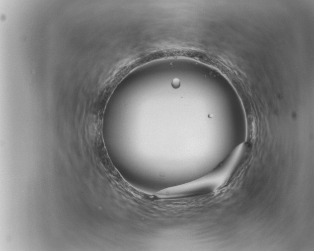 X0000059851157200511111803