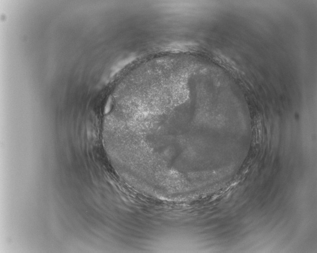 X0000059851158200511111803