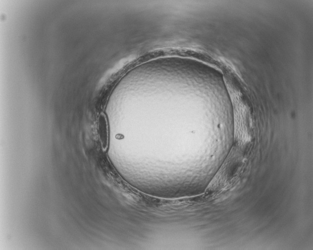 X0000059851159200511111803